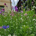 Follemira Cz - Kitchen - Garden - Bike Storage Bed & Breakfast