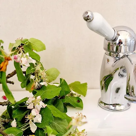 Nocleg ze śniadaniem Follemira Cz - Kitchen - Garden - Bike Storage